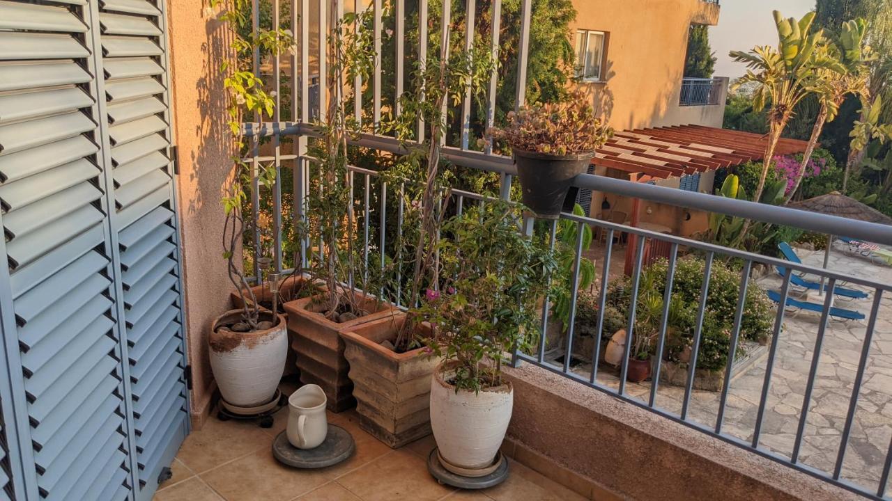 דירות פאהיה P.Gardens 103 מראה חיצוני תמונה