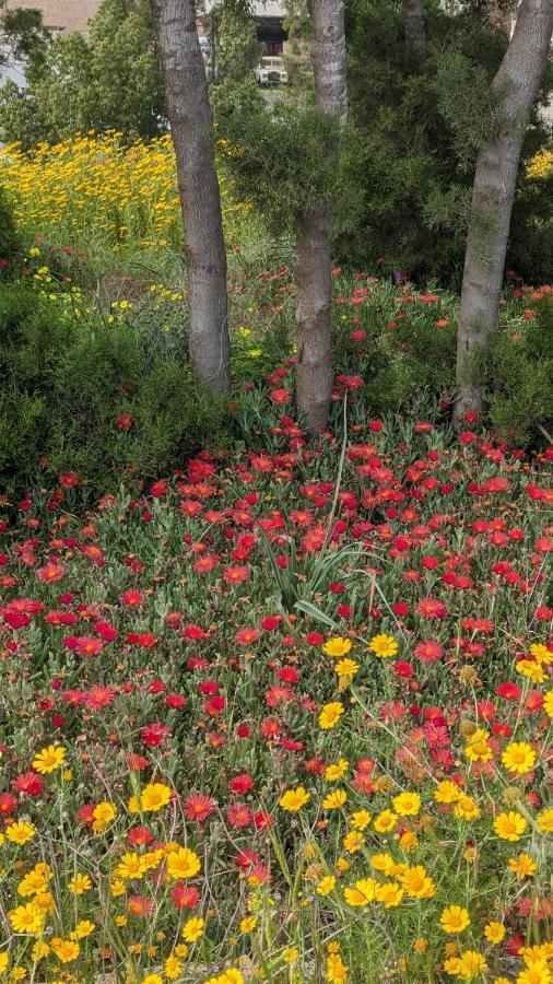דירות פאהיה P.Gardens 103 מראה חיצוני תמונה