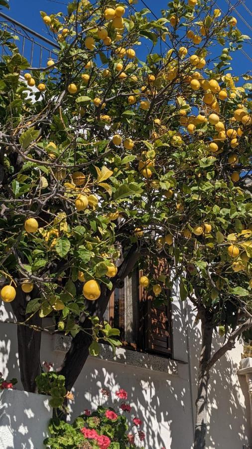 דירות פאהיה P.Gardens 103 מראה חיצוני תמונה